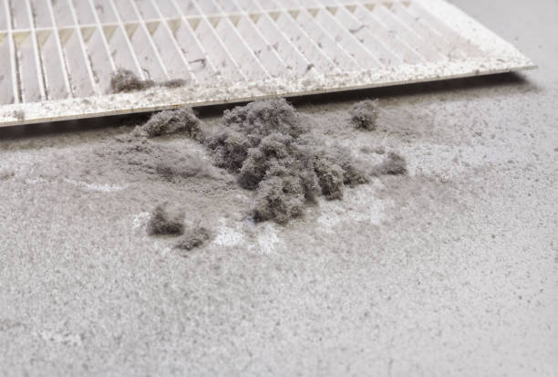 Best Emergency Air Duct Cleaning  in China Grove, NC